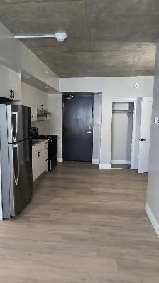 One Bedroom Available in June