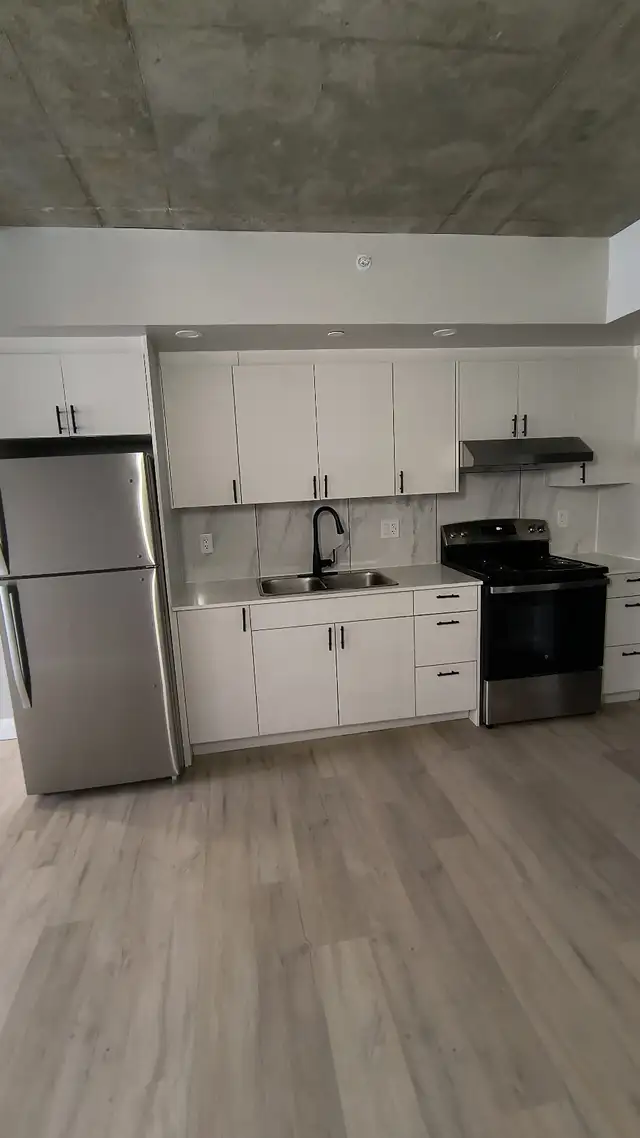 One Bedroom Available in June - Photo 2