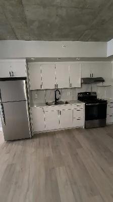 One Bedroom Available in June - Photo 2
