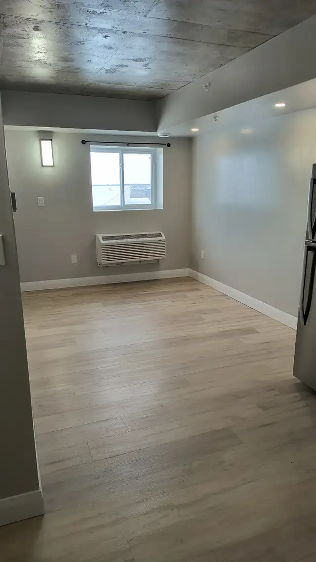 One Bedroom Available in June - Photo 3