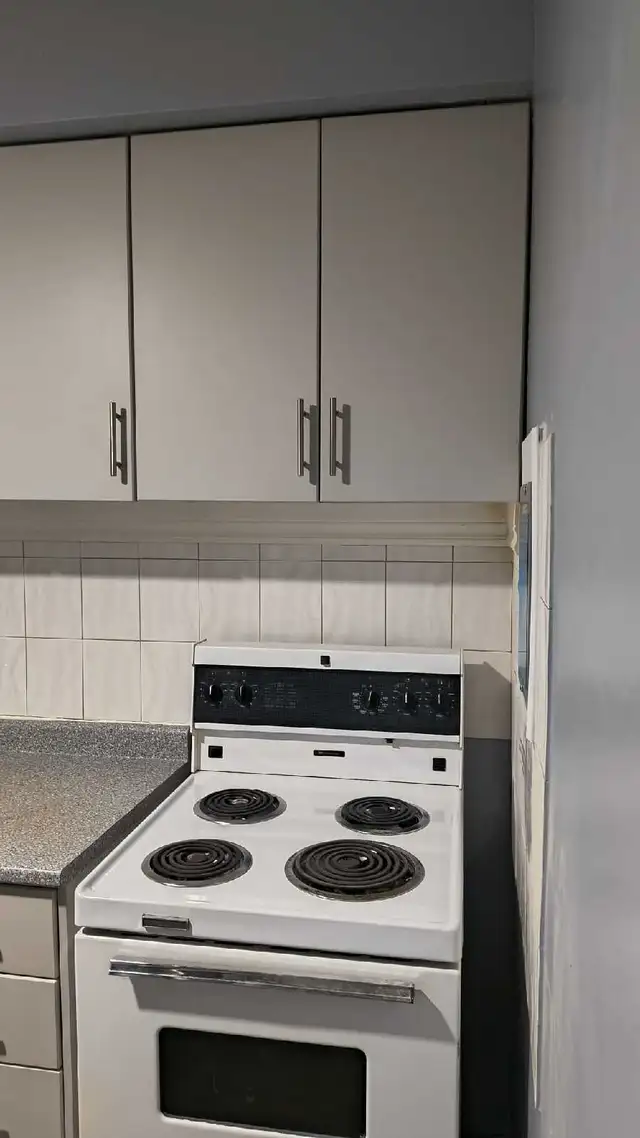 1 Bedroom Apartment available immediately - Photo 3