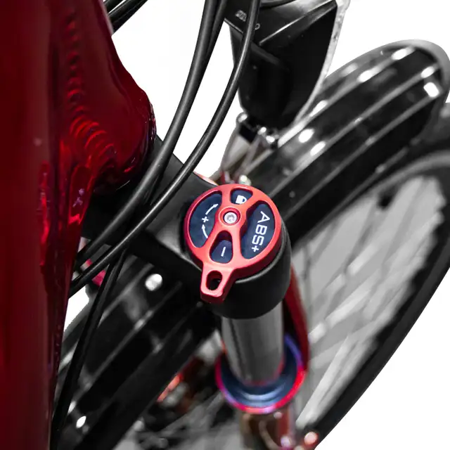 The Paris LR - On Sale! - Photo 3