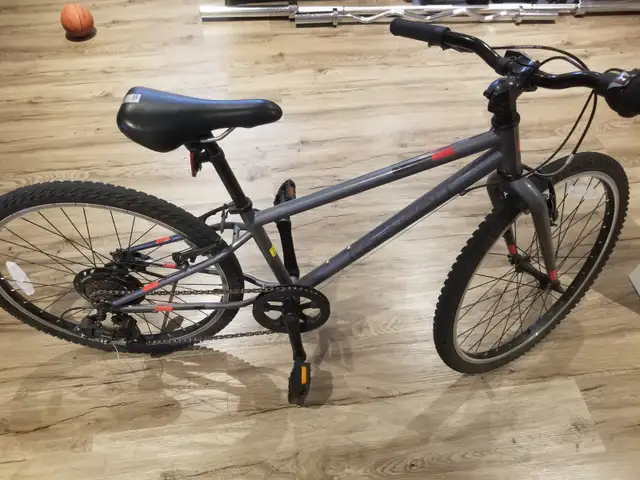 Bicyclette Louis Garneau 24 pouces - Photo 2