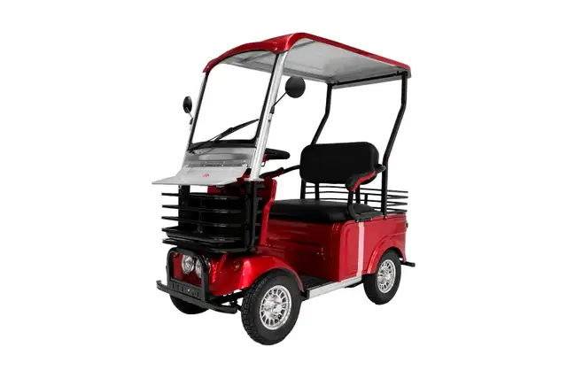 The LoadRider - Mobility Scooter with Roof and Rain Cover - Photo 3