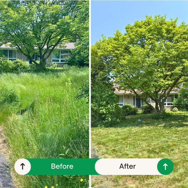 Lawn Care Technician / General Labour