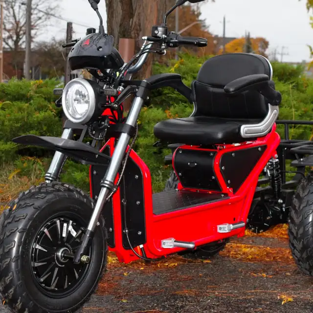 The Tectus Scope - All-Terrain Mobility Scooter - Photo 3