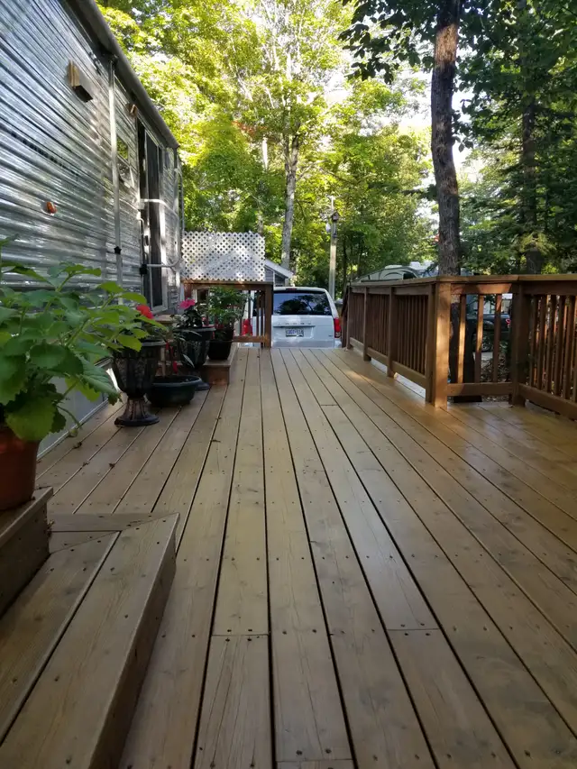 Seasonal Bug to Vacay - Photo 3