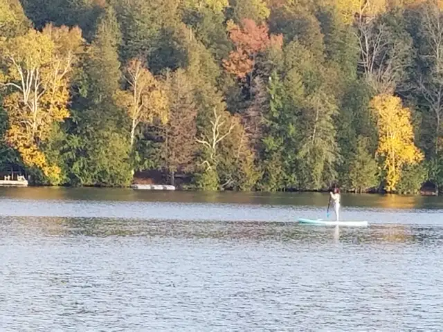 Seasonal Bug to Vacay - Photo 6