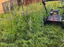 SPRING BACKYARD CLEAN-UP SPECIAL!