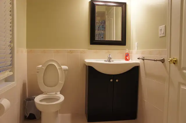 Room for Rent / York Uni. Village / North York - Photo 4