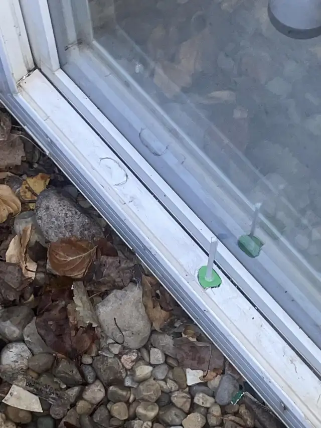 window hole repair wanted - Photo 3