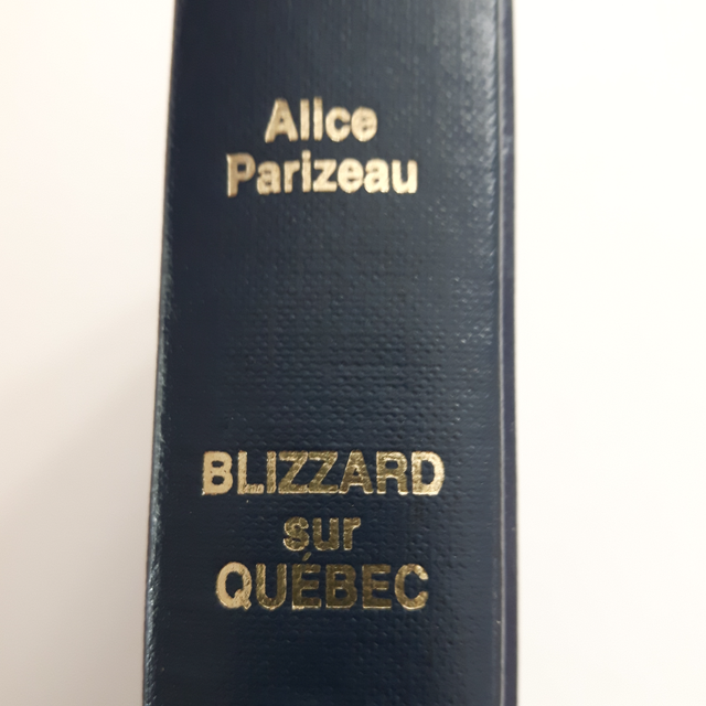 BON ROMAN NEUF D'ALICE PARIZEAU BLIZZARD SUR QUÉBEC 467PAG $5.00 - Photo 3