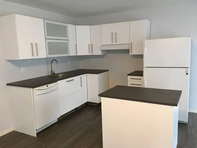 8 Bedroom house near Carleton University, available May 1st - Photo 2