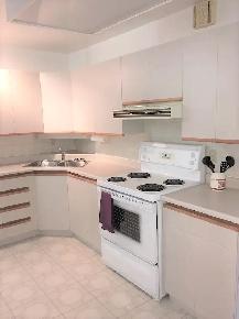 8 Bedroom house near Carleton University, available May 1st - Photo 4