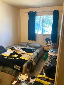 Room For Rent With Perks