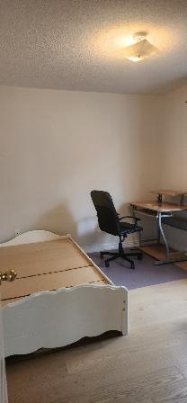 Room for rent near Gore and Castlemore - woman only - Photo 3