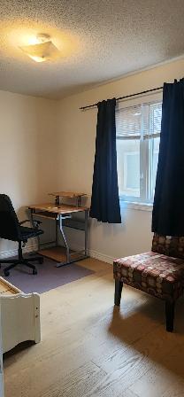 Room for rent near Gore and Castlemore - woman only - Photo 4
