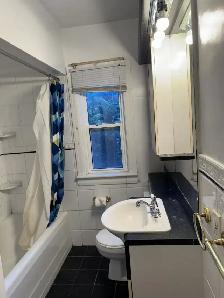 281 Collingwood 4/5 bedroom - Photo 2