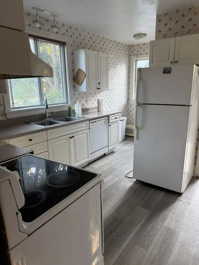 281 Collingwood 4/5 bedroom - Photo 5