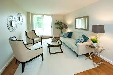 1 Bedroom Apartment for Rent in Downtown Niagara Falls! - Photo 2