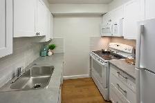 1 Bedroom Apartment for Rent in Downtown Niagara Falls! - Photo 4