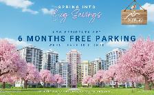 bach Apartment for Rent - 45 Greenbrae Circuit