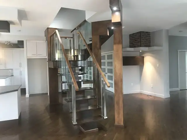 Magnifique Superbe 3 1/2 rue St-Bernard terrasse sur le toit ! - Photo 2