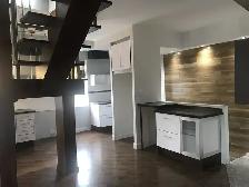 Magnifique Superbe 3 1/2 rue St-Bernard terrasse sur le toit ! - Photo 4