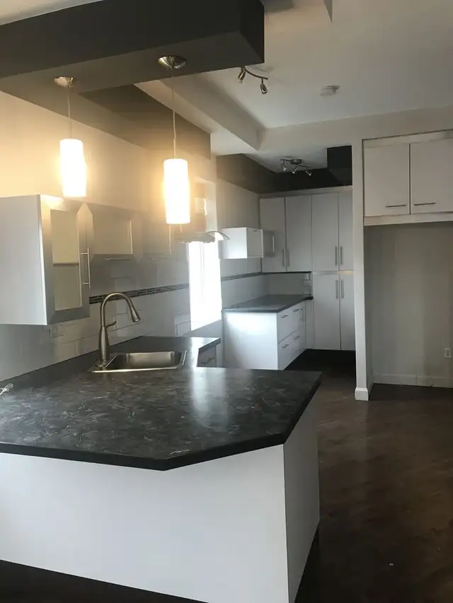 Magnifique Superbe 3 1/2 rue St-Bernard terrasse sur le toit ! - Photo 5