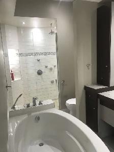 Magnifique Superbe 3 1/2 rue St-Bernard terrasse sur le toit ! - Photo 10