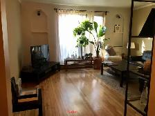 N.D.G. NDG, 3-1/2 (800pc) totalement renove, Juillet