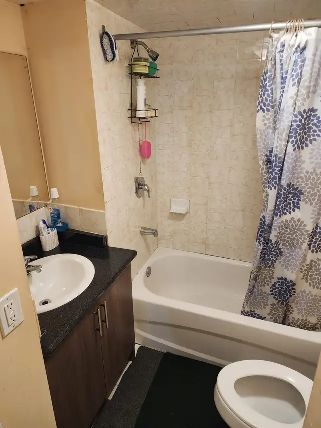 BASEMENT FOR RENT - Photo 4