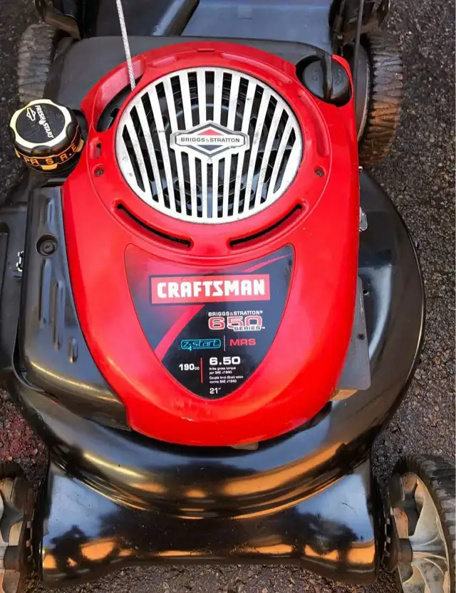 MOBILE LAWNMOWER SERVICE 289 815-2441 - Photo 2