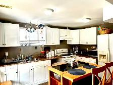 Luxury Two Bedroom Basement Apartment for Rent in Guelph - Photo 2