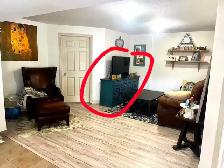 Luxury Two Bedroom Basement Apartment for Rent in Guelph - Photo 5