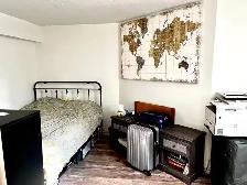 Luxury Two Bedroom Basement Apartment for Rent in Guelph - Photo 7
