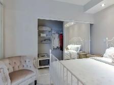 Gorgeous 1 BDRM Condo w/Parking/Balcony/Locker-Downtown Toronto - Photo 8