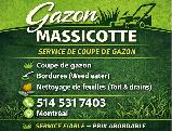 Gazon Massicotte - Photo 2