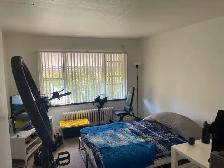 3367 LAKESHORE RD BLVD WEST BACHELOR APARTMENT FOR RENT - Photo 2