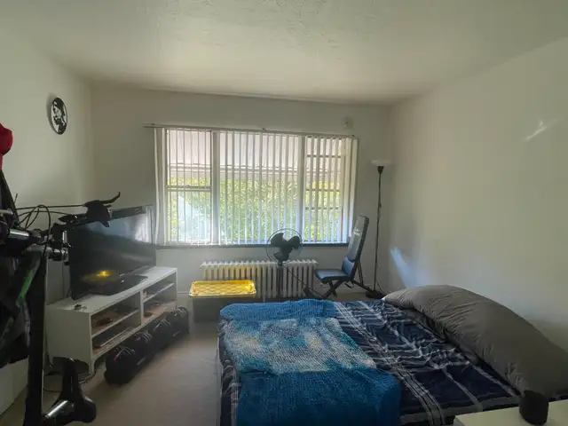 3367 LAKESHORE RD BLVD WEST BACHELOR APARTMENT FOR RENT - Photo 3