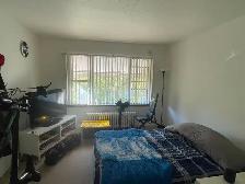3367 LAKESHORE RD BLVD WEST BACHELOR APARTMENT FOR RENT - Photo 3