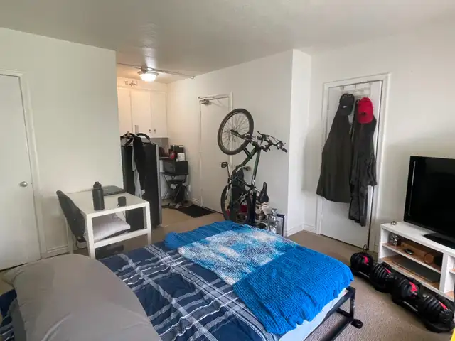 3367 LAKESHORE RD BLVD WEST BACHELOR APARTMENT FOR RENT - Photo 5