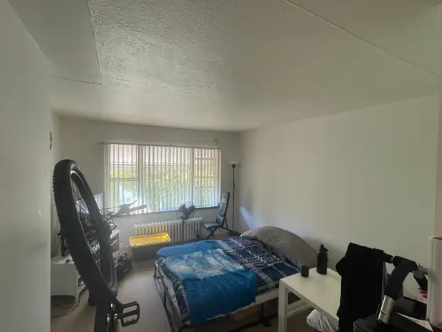 3367 LAKESHORE RD BLVD WEST BACHELOR APARTMENT FOR RENT - Photo 6