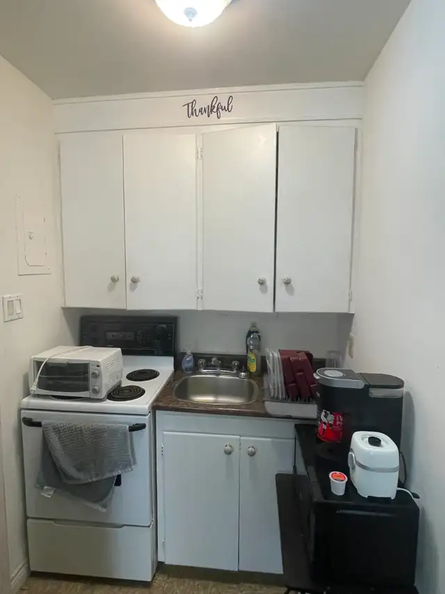 3367 LAKESHORE RD BLVD WEST BACHELOR APARTMENT FOR RENT - Photo 8