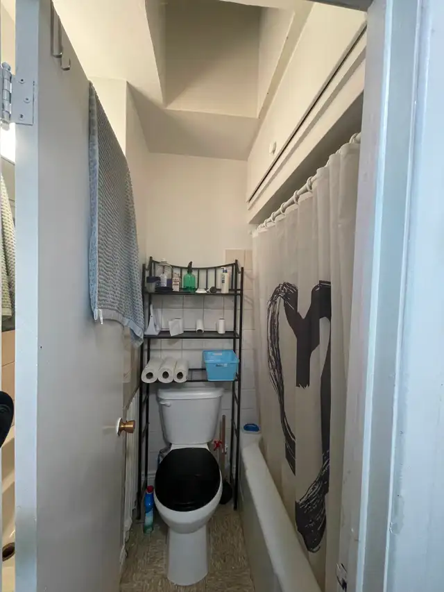 3367 LAKESHORE RD BLVD WEST BACHELOR APARTMENT FOR RENT - Photo 9