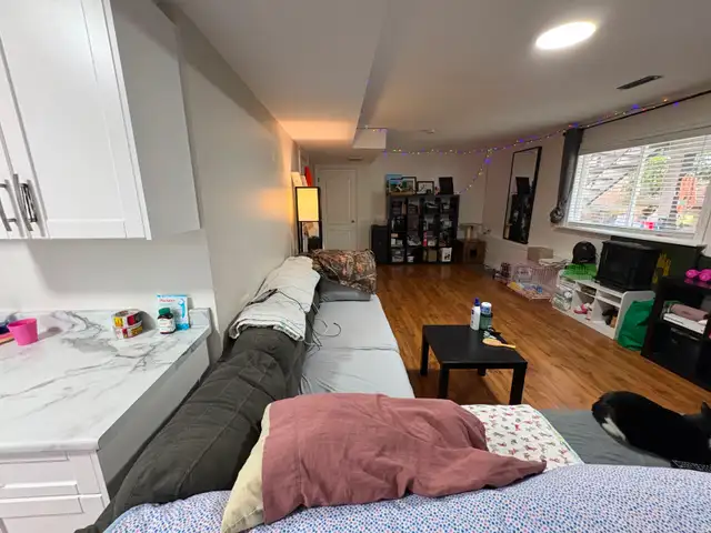 1 Bedroom Basement Suite in Chilliwack - Photo 25