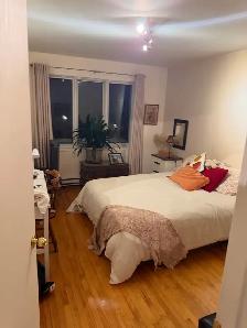 5 1/2 ensoleillé Quartier Rosemont - Photo 4