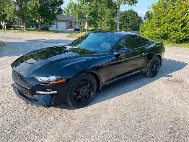 2018 MUSTANG - ONLY 77,900 km - 2.3 6spd man. -$19,899 cert.