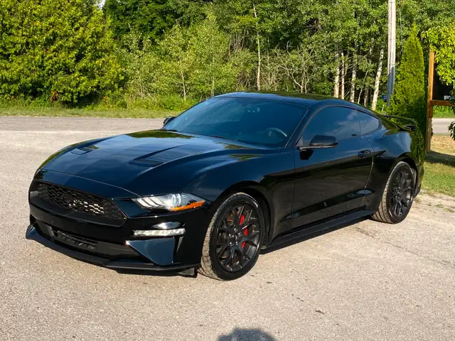 2018 MUSTANG - ONLY 77,900 km - 2.3 6spd man. -$19,899 cert. - Photo 3