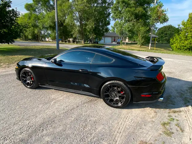 2018 MUSTANG - ONLY 77,900 km - 2.3 6spd man. -$19,899 cert. - Photo 6